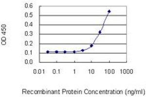 Detection limit for recombinant GST tagged GRP is 3 ng/ml as a capture antibody. (Gastrin-Releasing Peptide 抗体  (AA 1-148))