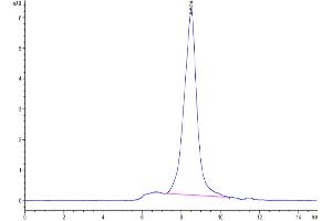 Size-exclusion chromatography-High Pressure Liquid Chromatography (SEC-HPLC) image for Inducible T-Cell Co-Stimulator (ICOS) (AA 21-134) protein (His tag) (ABIN7274837)