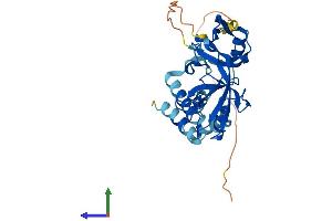 Protein Structure (PS) image for GIPC PDZ Domain Containing Family, Member 2 (GIPC2) (AA 1-314) protein (His tag) (ABIN7556434)