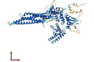 Protein Structure (PS) image for Signal Transducer and Activator of Transcription 4 (STAT4) (AA 1-748) protein (His tag) (ABIN7546450)