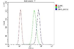 Flow Cytometry analysis of A549 cells using anti-DRP1/DNM1L antibody (ABIN7602180). (Dynamin 1-Like 抗体  (AA 618-736))
