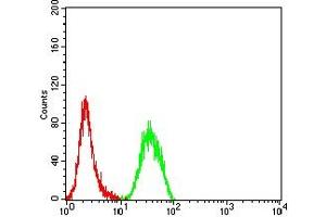 Flow cytometric analysis of Hela cells using ULBP1 mouse mAb (green) and negative control (red). (ULBP1 抗体  (AA 26-216))