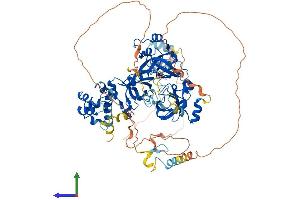 AlphaFold protein structure predicition of Human Recombinant L3MBTL3 Protein, UniprotID Q96JM7