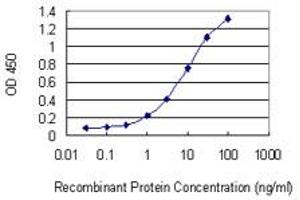 Detection limit for recombinant GST tagged NRXN1 is 0. (Neurexin 1 抗体  (AA 31-130))