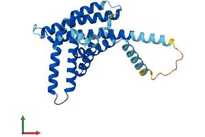 Protein Structure (PS) image for Peroxisomal Biogenesis Factor 11 alpha (PEX11A) (AA 1-247) protein (His tag) (ABIN7551115)