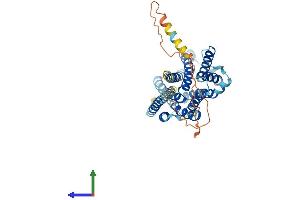 Protein Structure (PS) image for Solute Carrier Family 35, Member D3 (SLC35D3) (AA 1-422) protein (His tag) (ABIN7558551)
