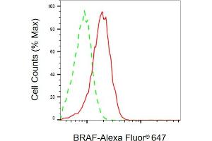 Flow cytometric analysis of BRAF expression in HepG2 cells using BRAF antibody (ABIN7797725), 1:2,000).