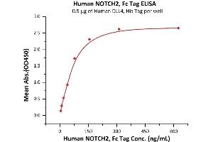 ELISA image for Notch 2 (NOTCH2) (AA 26-530) (Active) protein (Fc Tag) (ABIN7013569)