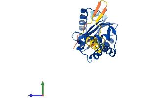 Protein Structure (PS) image for Adaptor-Related Protein Complex 3, sigma 1 Subunit (AP3S1) (AA 1-193) protein (His tag) (ABIN7561349)