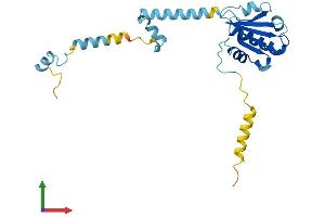 Protein Structure (PS) image for Phosducin-Like 3 (PDCL3) (AA 1-239) protein (His tag) (ABIN7550637)