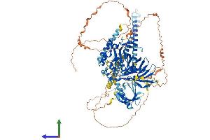 Protein Structure (PS) image for Oxysterol Binding Protein 2 (OSBP2) (AA 1-908) protein (His tag) (ABIN7557507)