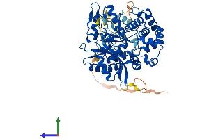 Protein Structure (PS) image for Polymerase (DNA Directed), mu (POLM) (AA 1-494) protein (His tag) (ABIN7547159)