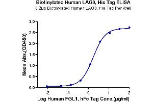 ELISA image for Lymphocyte-Activation Gene 3 (LAG3) (AA 23-434) protein (His-Avi Tag,Biotin) (ABIN7275115)