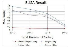 Red: Control Antigen (100 ng), Purple: Antigen (10 ng), Green: Antigen (50 ng), Blue: Antigen (100 ng), (OLIG2 抗体)