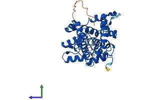Protein Structure (PS) image for Stearoyl-CoA Desaturase (Delta-9-Desaturase) (SCD) (AA 1-359) protein (His tag) (ABIN7551899)
