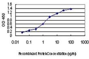 Detection limit for recombinant GST tagged PTK2 is approximately 0. (FAK 抗体  (AA 355-490))
