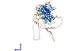Protein Structure (PS) image for Deltex Homolog 2 (DTX2) (AA 1-619) protein (His tag) (ABIN7564703)