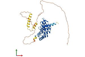 Protein Structure (PS) image for Ankyrin Repeat, Family A (RFXANK-Like), 2 (ANKRA2) (AA 1-313) protein (His tag) (ABIN7552161)