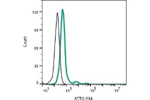Cell surface detection of nAChR β2 by direct flow cytometry in live intact Rat pheochromocytoma PC12 cells:  + Anti-Nicotinic Acetylcholine Receptor β2 (CHRNB2) (extracellular)-ATTO Fluor-594 Antibody (ABIN7582021), (5 μg).