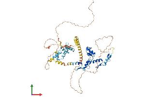 Protein Structure (PS) image for Zinc Finger with KRAB and SCAN Domains 1 (ZKSCAN1) (AA 1-563) protein (His tag) (ABIN7545779)