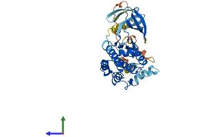 Protein Structure (PS) image for Mitogen-Activated Protein Kinase Kinase 6 (MAP2K6) (AA 1-334) protein (His tag) (ABIN7563517)