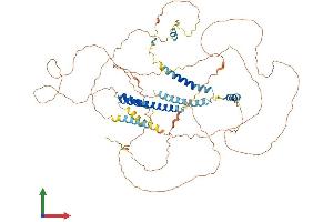 Protein Structure (PS) image for Consortin, Connexin Sorting Protein (CNST) (AA 1-711) protein (His tag) (ABIN7559232)