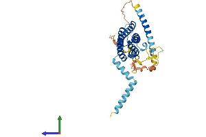 AlphaFold protein structure predicition of Human Recombinant SCAMP3 Protein, UniprotID O14828