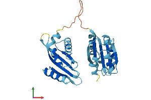 AlphaFold protein structure predicition of Mouse Recombinant Rwdd3 Protein, UniprotID Q8VIL2