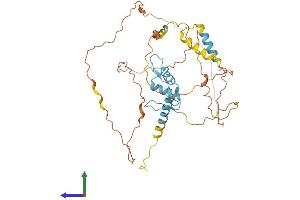 Protein Structure (PS) image for Sp5 Transcription Factor (SP5) (AA 1-398) protein (His tag) (ABIN7561524)