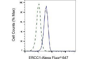 Validation of ERCC1 knockdown using flow cytometry. (Recombinant ERCC1 抗体)