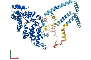 Protein Structure (PS) image for Suppression of Tumorigenicity 7 Like (ST7L) (AA 1-559) protein (His tag) (ABIN7559580)