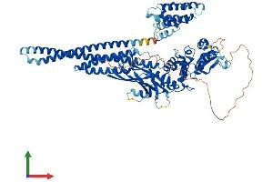 Protein Structure (PS) image for Signal Transducer and Activator of Transcription 5B (STAT5B) (AA 1-786) protein (His tag) (ABIN7563243)