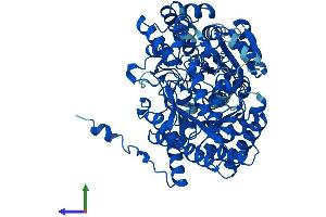 Protein Structure (PS) image for Urocanate Hydratase 1 (UROC1) (AA 1-676) protein (His tag) (ABIN7559792)