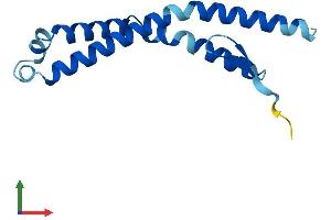 Protein Structure (PS) image for CTD Nuclear Envelope Phosphatase 1 Regulatory Subunit 1 (CNEP1R1) (AA 1-125) protein (His tag) (ABIN7557207)