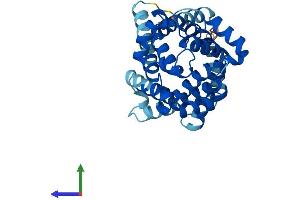 Protein Structure (PS) image for Solute Carrier Family 25 (Mitochondrial Carrier, Adenine Nucleotide Translocator), Member 31 (SLC25A31) (AA 1-320) protein (His tag) (ABIN7557342)