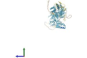 AlphaFold protein structure predicition of Human Recombinant ZNF850 Protein, UniprotID A8MQ14