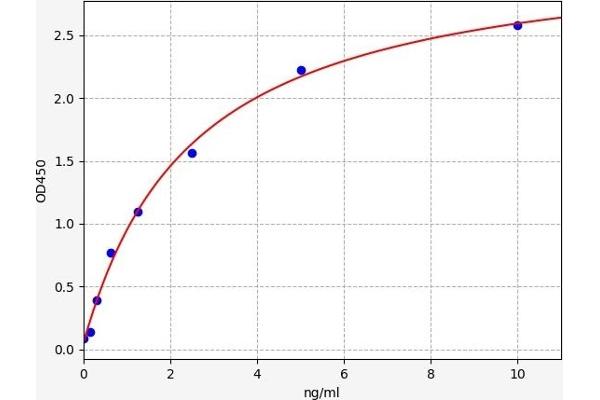 GRAP2 ELISA 试剂盒