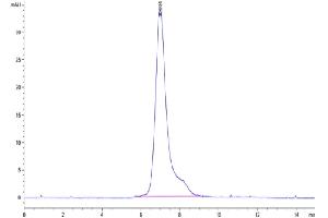 Size-exclusion chromatography-High Pressure Liquid Chromatography (SEC-HPLC) image for Sialic Acid Binding Ig-Like Lectin 5 (SIGLEC5) (AA 17-434) protein (His-Avi Tag) (ABIN7275598)