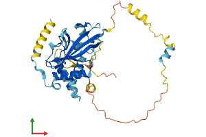 Protein Structure (PS) image for ATG3 Autophagy Related 3 (ATG3) (AA 1-314) protein (His tag) (ABIN7564936)