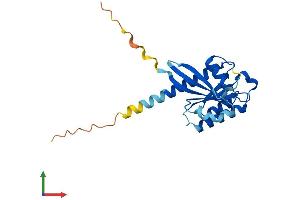 Protein Structure (PS) image for RAB17, Member RAS Oncogene Family (RAB17) (AA 1-212) protein (His tag) (ABIN7555135)