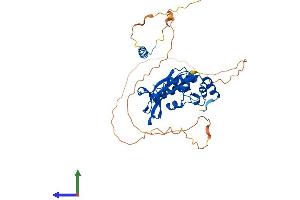 AlphaFold protein structure predicition of Mouse Recombinant Isg20l2 Protein, UniprotID Q3U1G5
