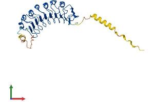 Protein Structure (PS) image for Leucine Rich Repeat Containing 10 (LRRC10) (AA 1-277) protein (His tag) (ABIN7549106)