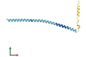 Protein Structure (PS) image for Synuclein, gamma (Breast Cancer-Specific Protein 1) (SNCG) (AA 1-123) protein (His tag) (ABIN7556343)