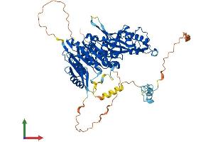 Protein Structure (PS) image for tRNA Methyltransferase 1 (TRMT1) (AA 1-659) protein (His tag) (ABIN7544687)