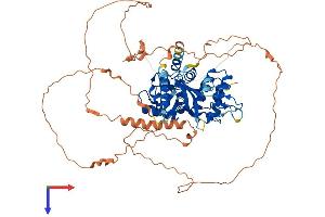 AlphaFold protein structure predicition of Human Recombinant AGAP7P Protein, UniprotID Q5VUJ5 (ArfGAP with GTPase Domain, Ankyrin Repeat and PH Domain 7 (AGAP7) (AA 1-663) protein (His tag))