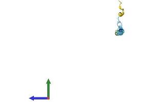 Protein Structure (PS) image for Small Proline-Rich Protein 2G (SPRR2G) (AA 1-73) protein (Fc Tag) (ABIN7546229)