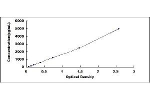 Typical standard curve (DKK2 ELISA 试剂盒)