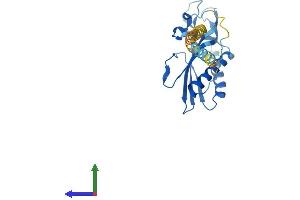 AlphaFold protein structure predicition of Mouse Recombinant Rtp2 Protein, UniprotID Q80ZI2