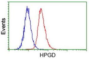 Flow Cytometry (FACS) image for anti-Hydroxyprostaglandin Dehydrogenase 15-(NAD) (HPGD) antibody (ABIN1496361) (HPGD 抗体)