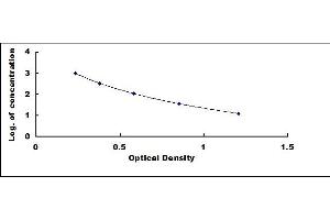 Typical standard curve